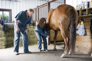 Dr. Craig Dorin offers some suggestions as Alyssa Eslinger examines a horse’s hoof.