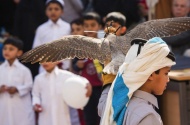 A young Qatari demonstrates his falconry skills for students, faculty, staff and the local community at the University of Calgary in Qatar’s 2016 International Day celebrations.
